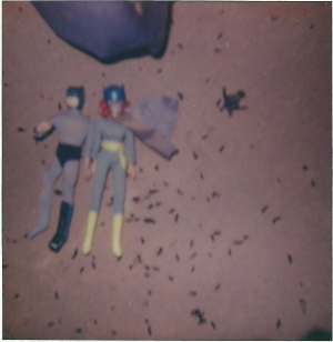 Polaroid with dolls, dead juvenile brown bat and bat droppings, 2016